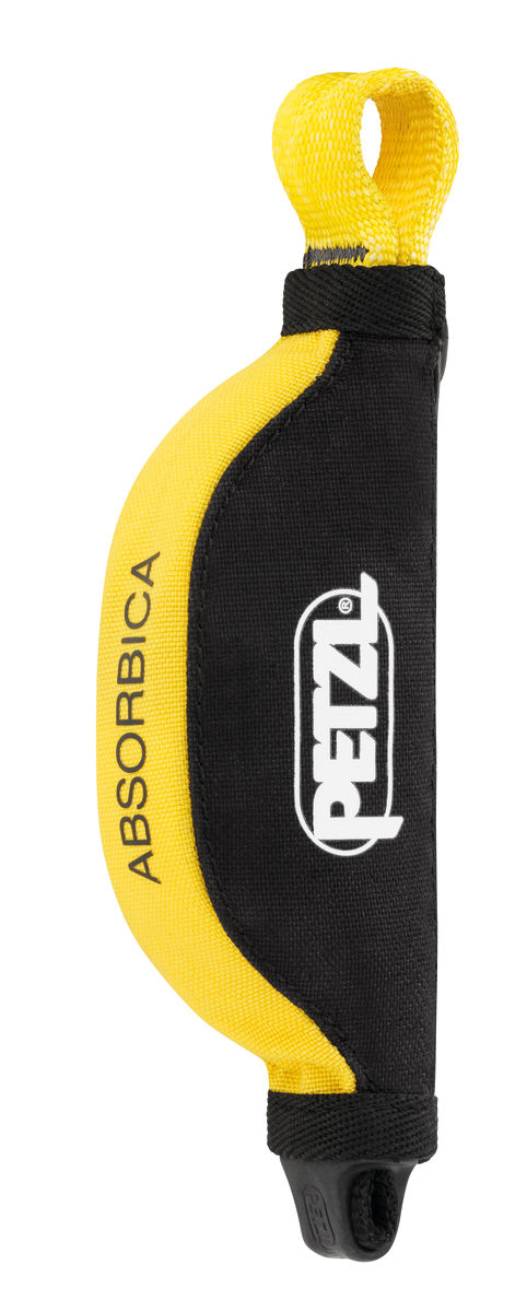 ABSORBICA