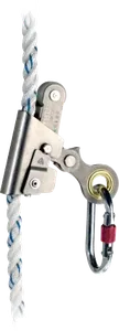 ASCORD AN065