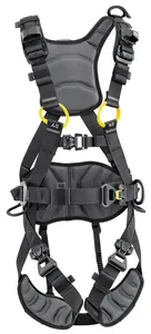 VOLT® LIGHT International Version